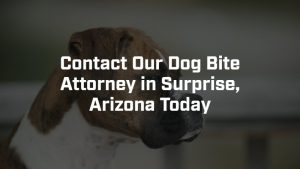 contact our dog bite attorney in surprise, arizona